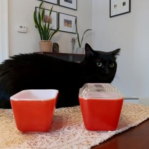 Pyrex primary red 501 refrigerator dishes
